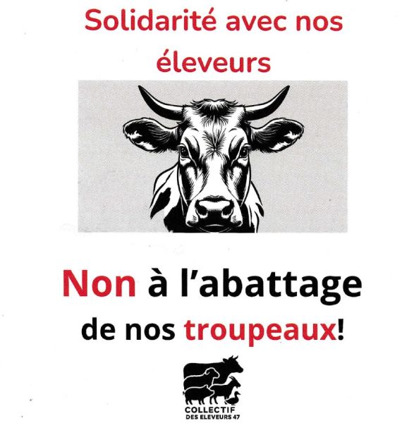DERMATOSE NODULAIRE CONTAGIEUSE : Collectif d'éleveurs contre l'abattage total | Confédération paysanne